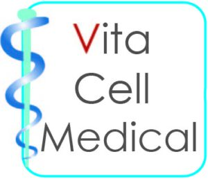 Logo VCM final